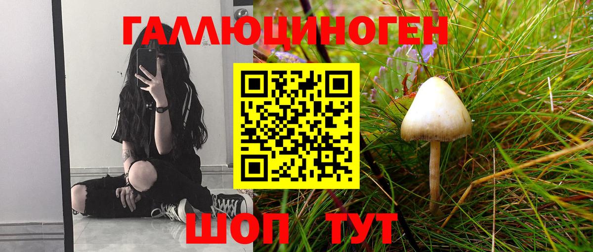 Псилоцибиновые грибы MAGIC MUSHROOMS  Вход с VPN  Североуральск 